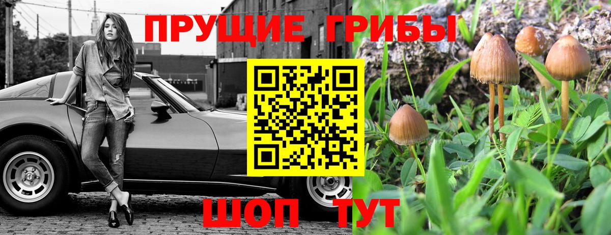 Псилоцибиновые грибы мухоморы Армавир