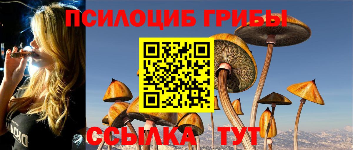 Псилоцибиновые грибы MAGIC MUSHROOMS  Вход с VPN  наркошоп  Армавир 